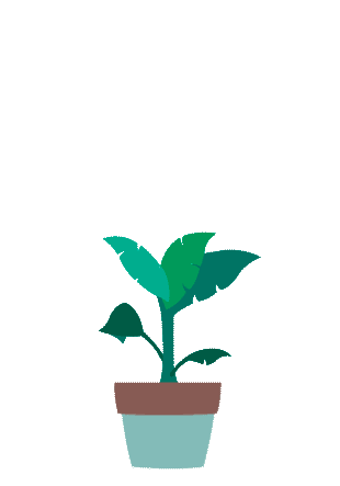 02-Plante.png