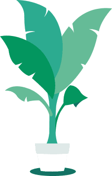 03-plante