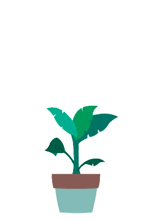 02-Plante.gif