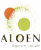 logo-01