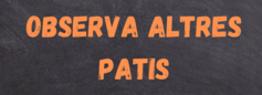Captura de Pantalla 2021-06-10 a les 111535png