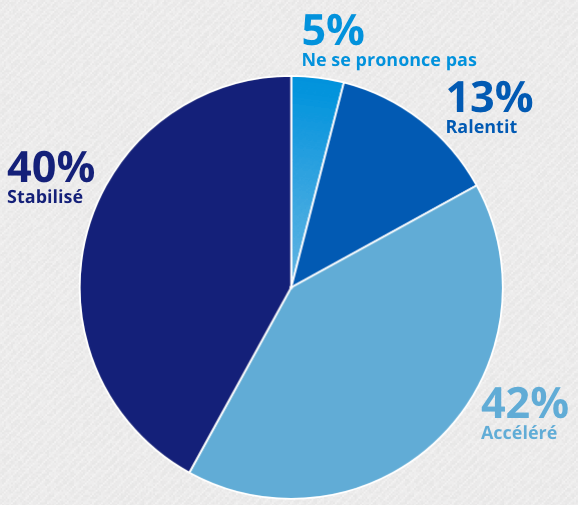 organisation schema 02.png