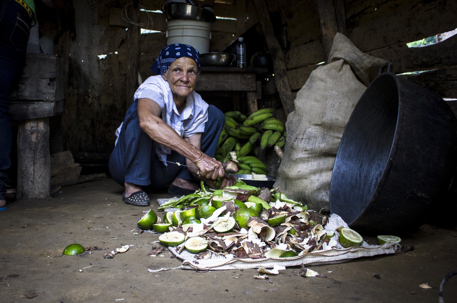 14795020182_94cd7e4e19_ojpg