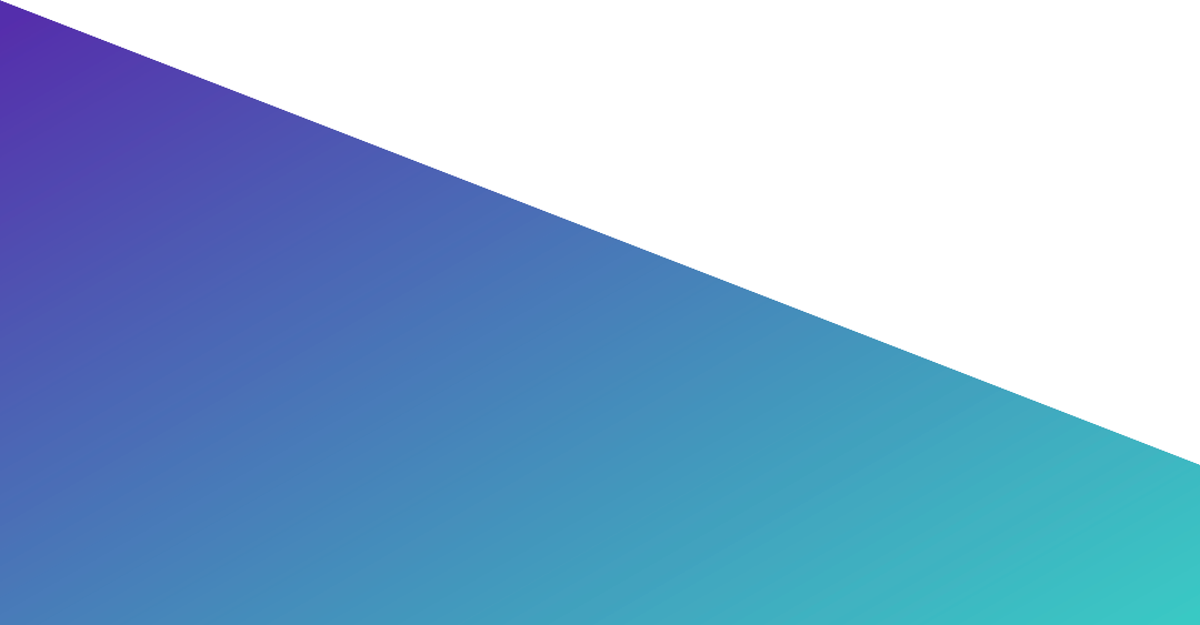 05-BandeauTrianglepng copy