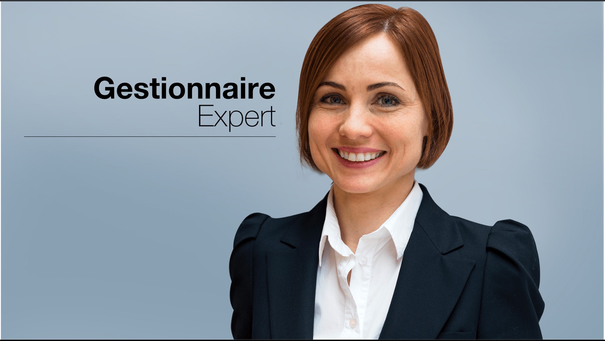 gestionnaire-expert copy