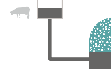 infographie du fonctionnement d'un biodigesteur