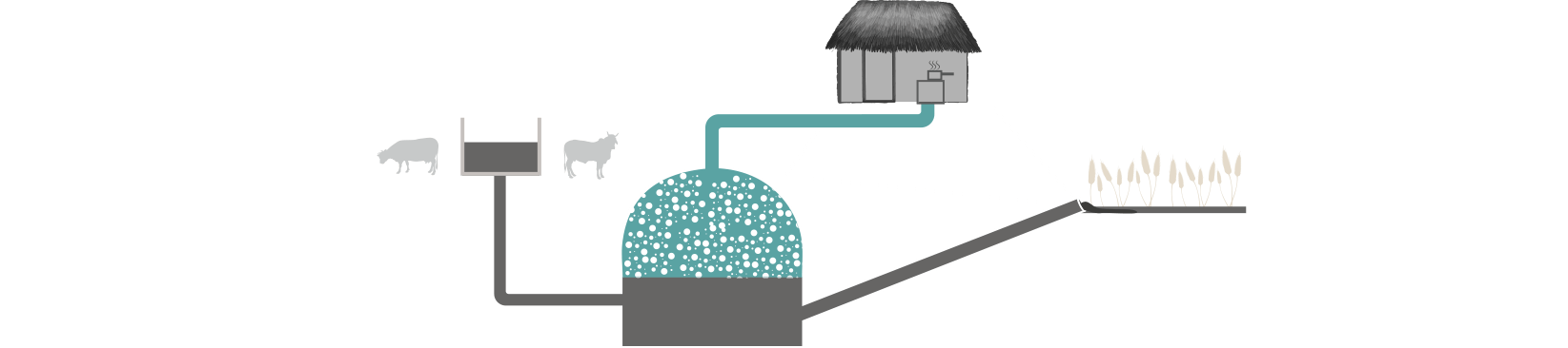 01-schema- copy