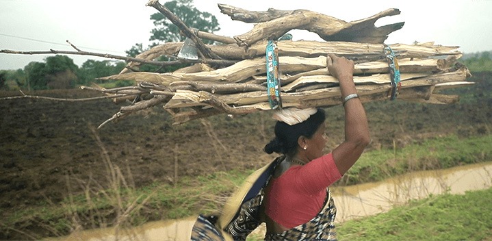 Femme portant du bois sur sa tête en Inde