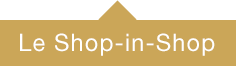 shop-in-shoppng