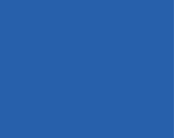 diagramme-bleu copy