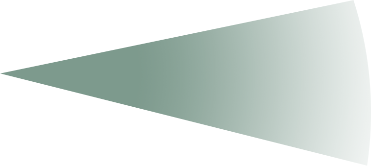 02-degrade copy (1)