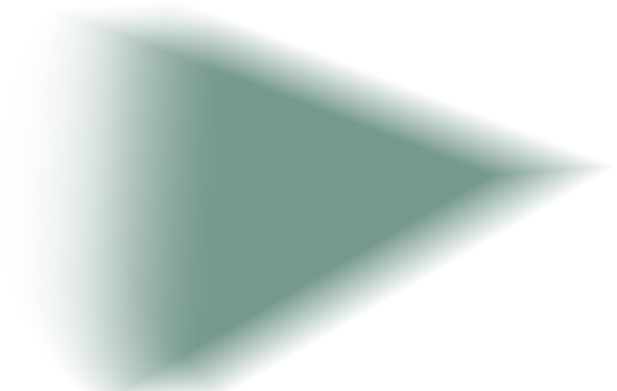 rayon-vert copy