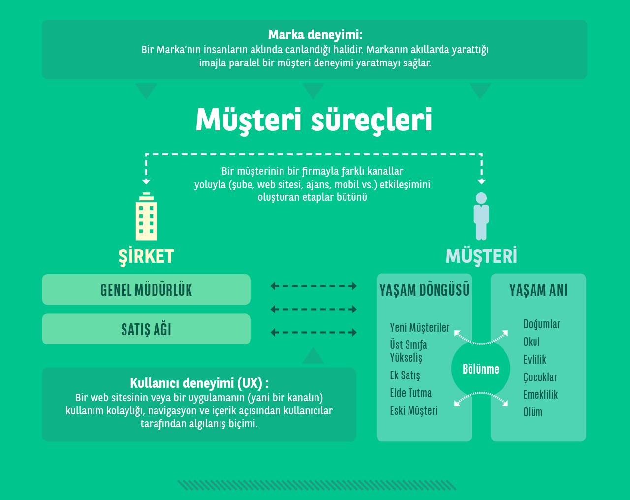 01-infographie-02.jpg