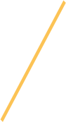 04-b-trait-picto-pays