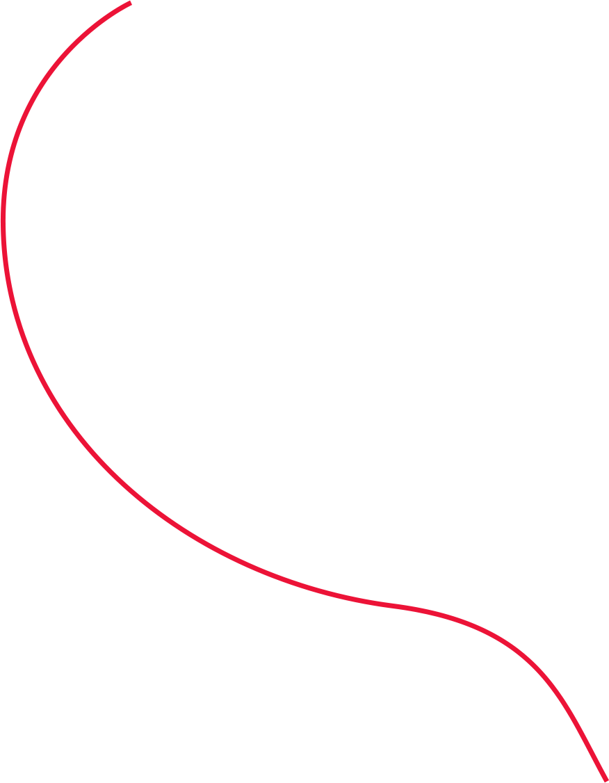 02-ligne-rouge copy