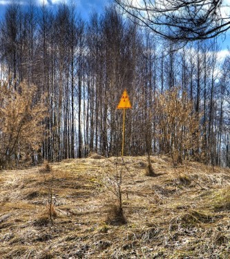 Red_Forest_Hill - Copiejpg