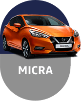 Copy of micra