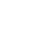 Copy of play-blanc.png