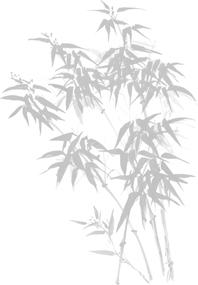bambouspng