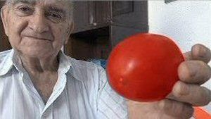 18 Semilla tomate perajpg