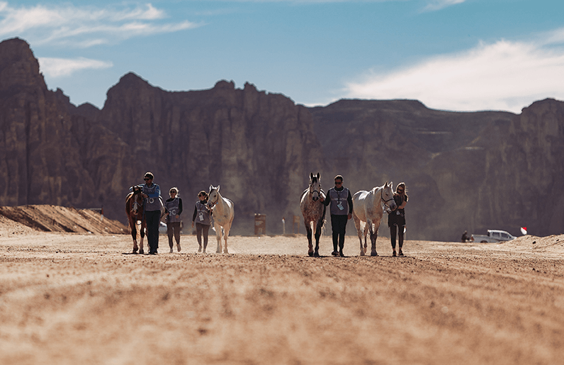 AlUla equestrian projects