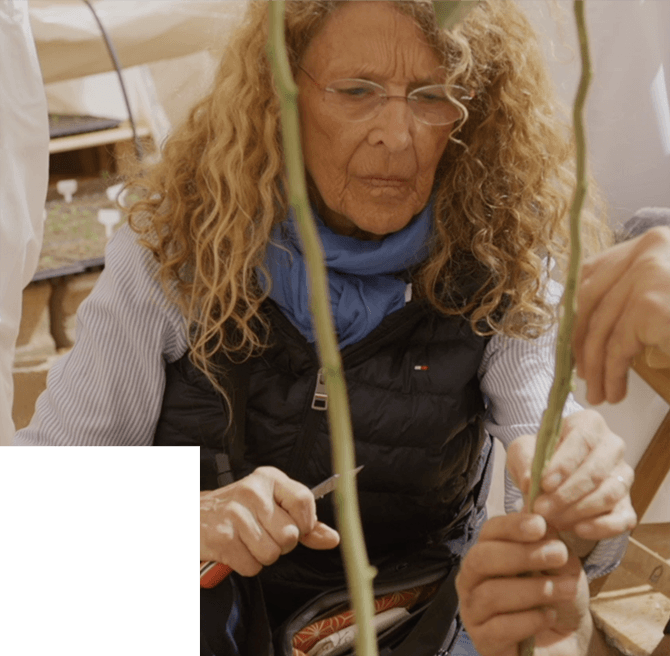 BÉNÉDICTE  BACHÈS