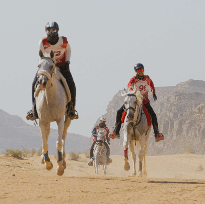 Horse race in the desert