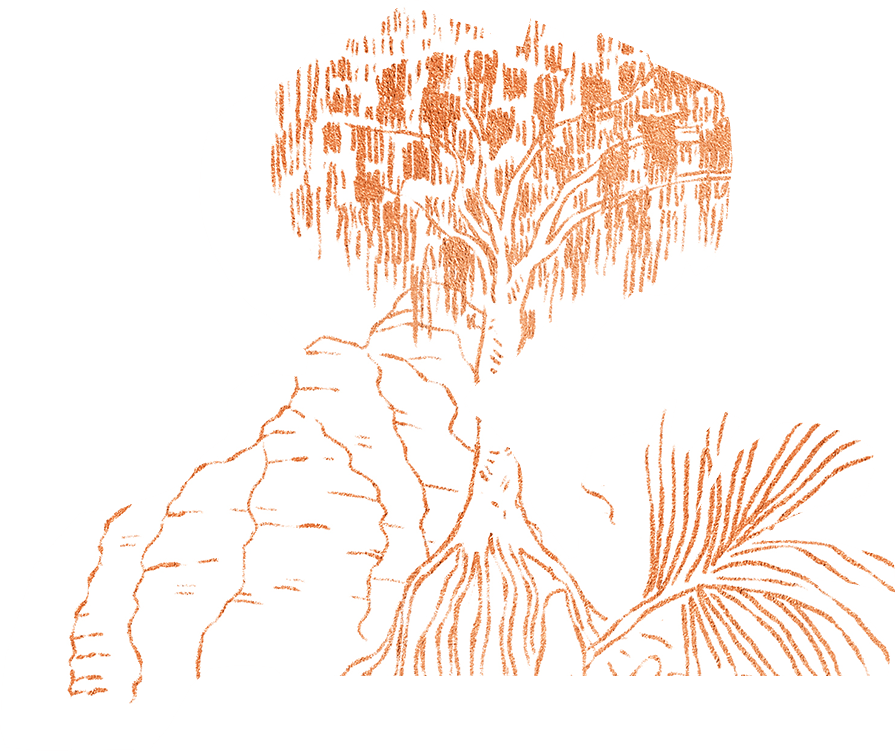 Drawing of plants