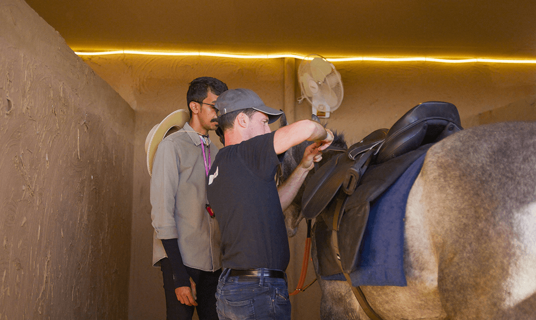 horse in stable