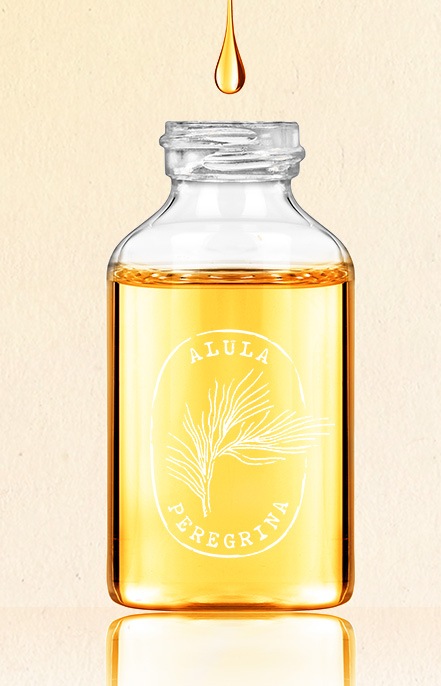 Bottle of Moringa oil