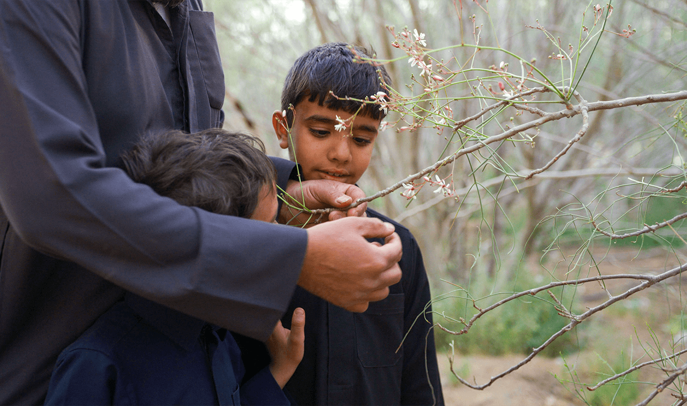 Children being shown Moringa peregrina