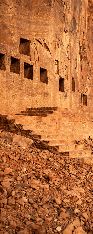 Picture of the Dadan site