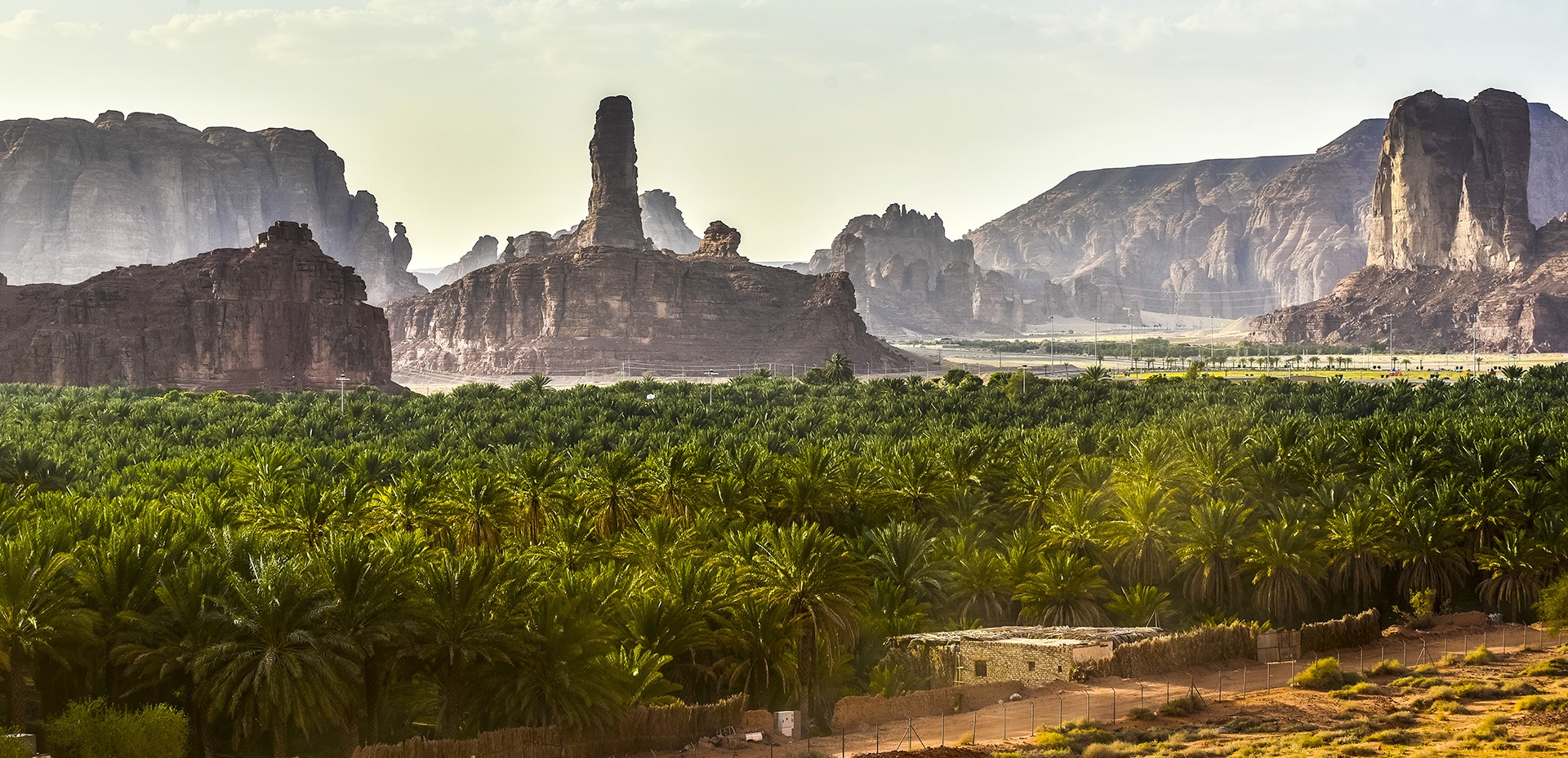 View of the oasis