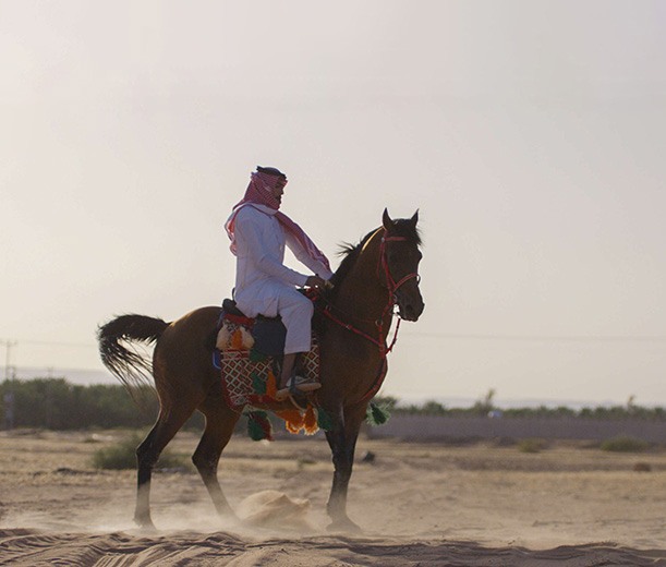 horse rider in desert