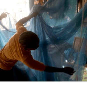 inspection-moustiquaire-IRDpng