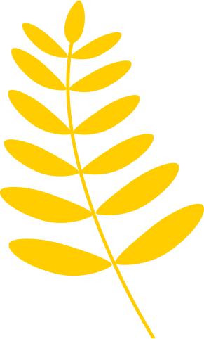 plante-jaune copy