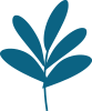 plante-04 copy