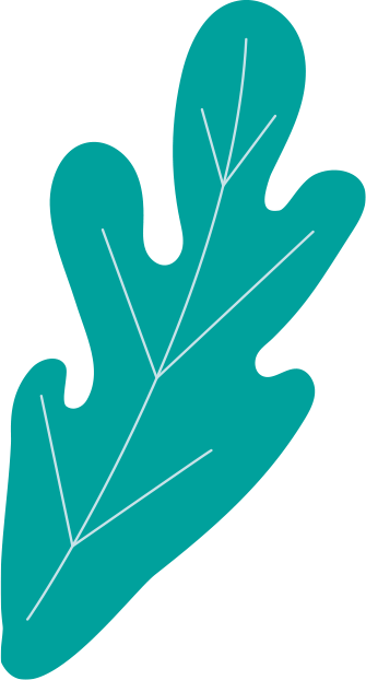 feuille-verte copy