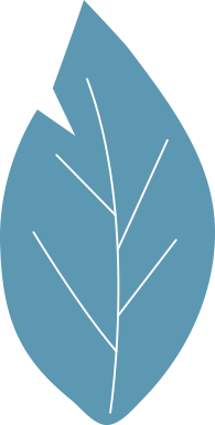 feuille-bleu copy