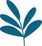 plante-03 copy