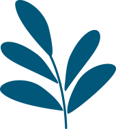 plante-bleu copy