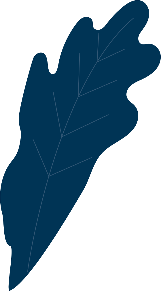 feuille-bleu