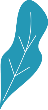 feuille-bleu