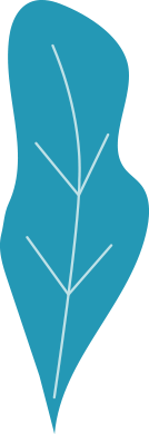 feuille-bleu copy