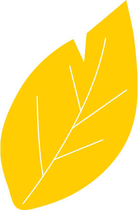 feuille-jaune copy