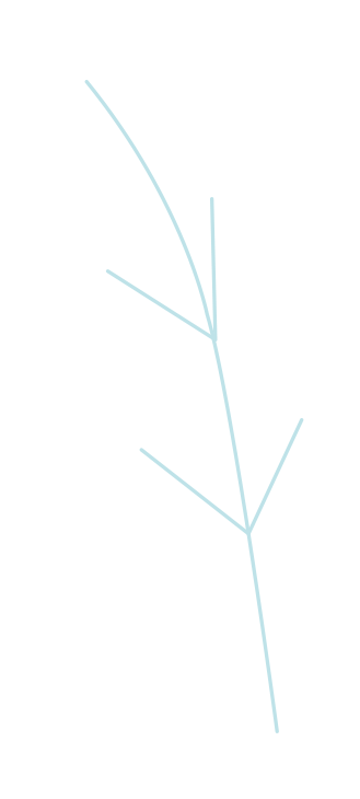 feuille-blanche
