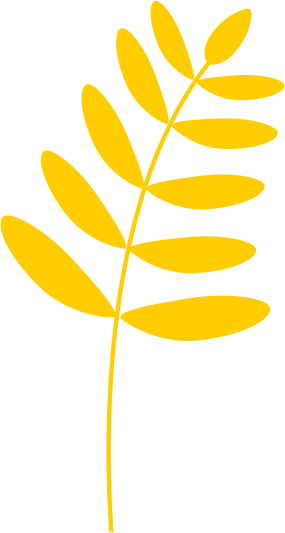 plante-jaune copy