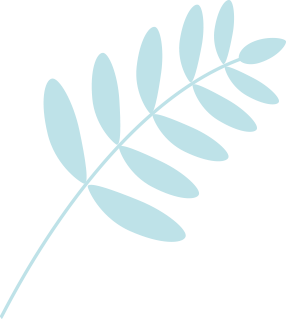 plante-bleu copy