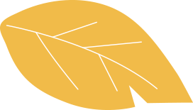 feuille-orange copy