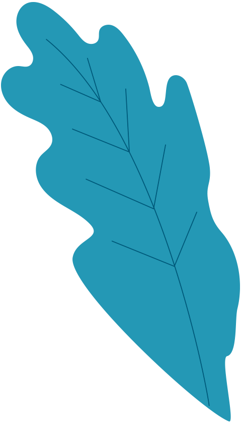 FEUILLE-BLEUpng